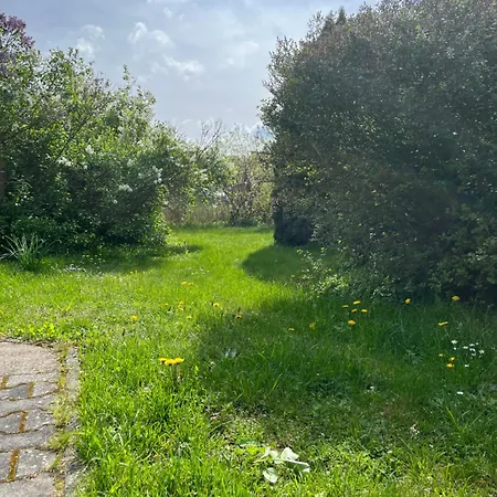 Lägenhet 'storchennest' *