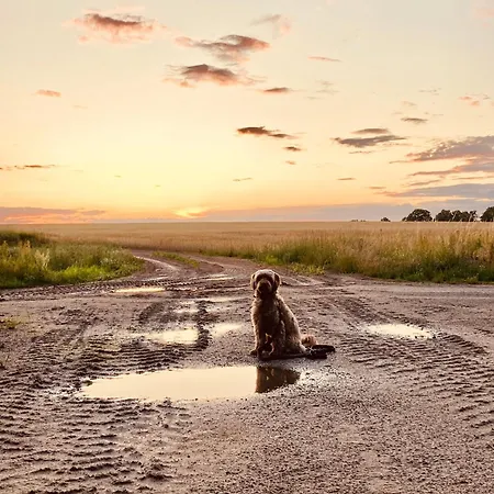 Apartamento 'storchennest'