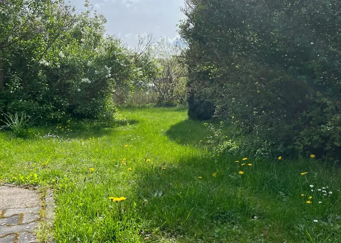 Lägenhet 'storchennest' *