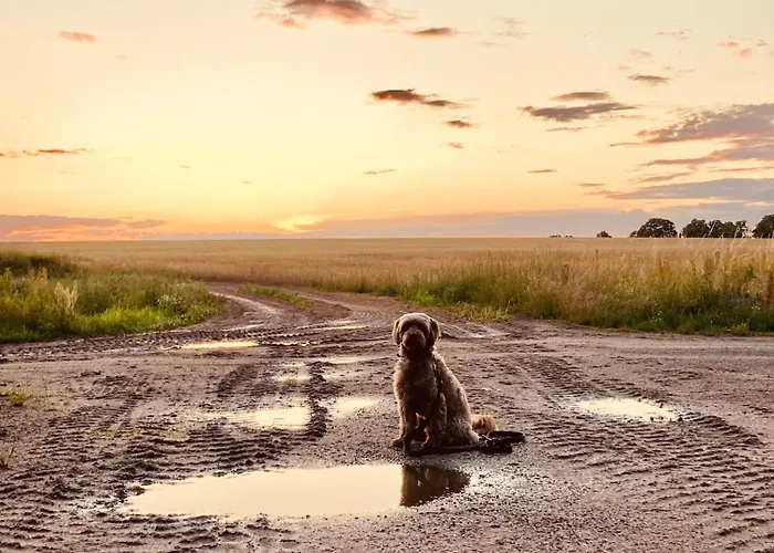 Apartamento 'storchennest'